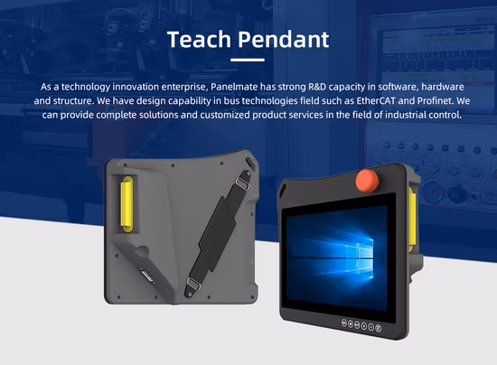 10-11mm Baroque Natural Cultured Pearl Choker Necklace (XL120004)